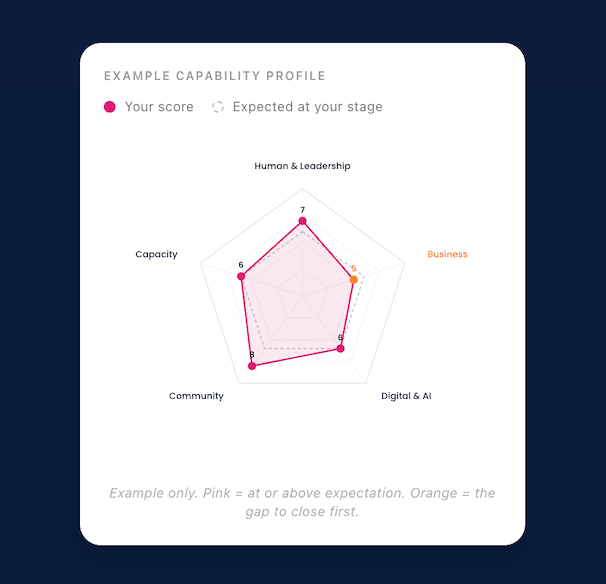 An example Capability Snapshot capability profile showing your score against what is expected at your stage