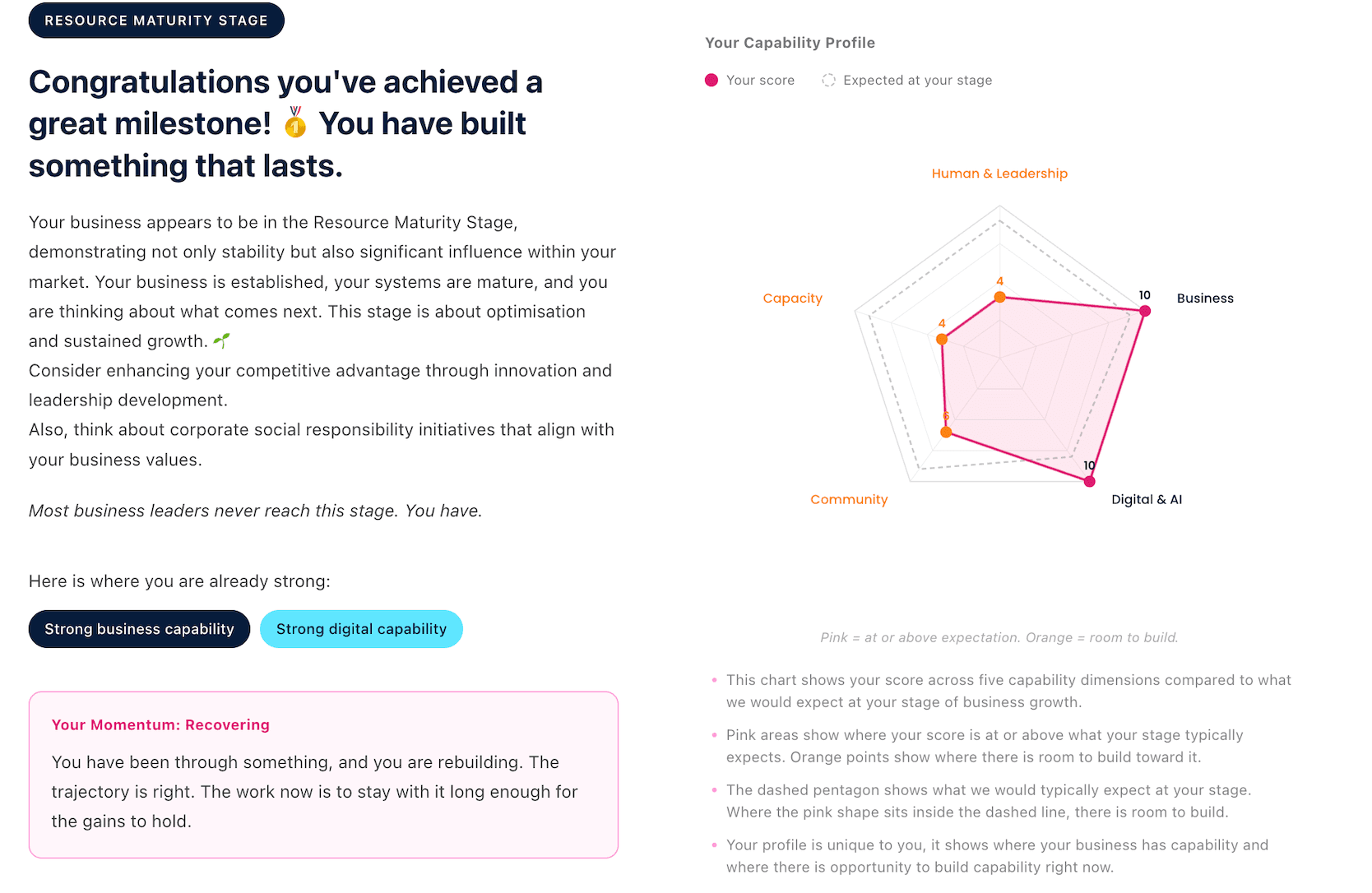 An example Capability Snapshot results page showing your stage, strengths, momentum and capability profile